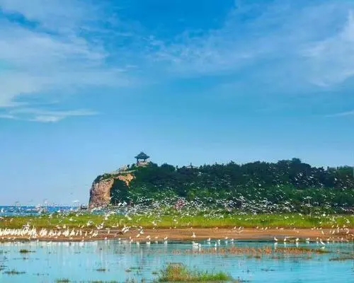 1596332901690985.jpg 北戴河国家湿地公园.webp.jpg