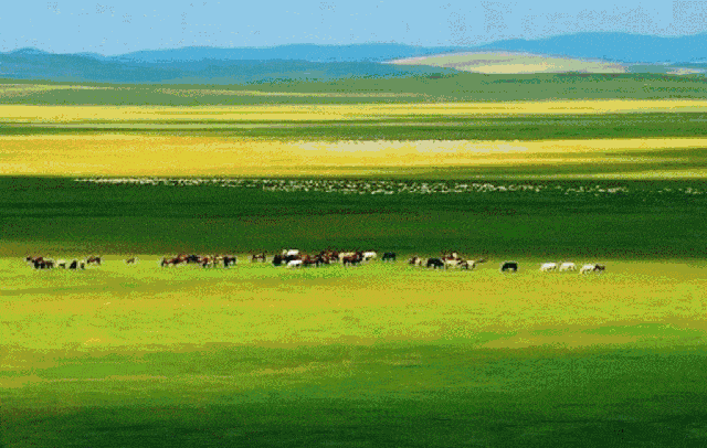 1724032526584270.gif 塞罕坝御道口景区.gif